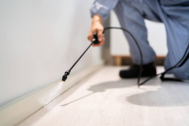 Licensed Cockroach Control service in Enigma, GA - Nex Pest Control